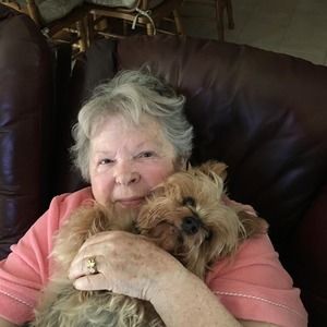 Meet your Posher, Wanda